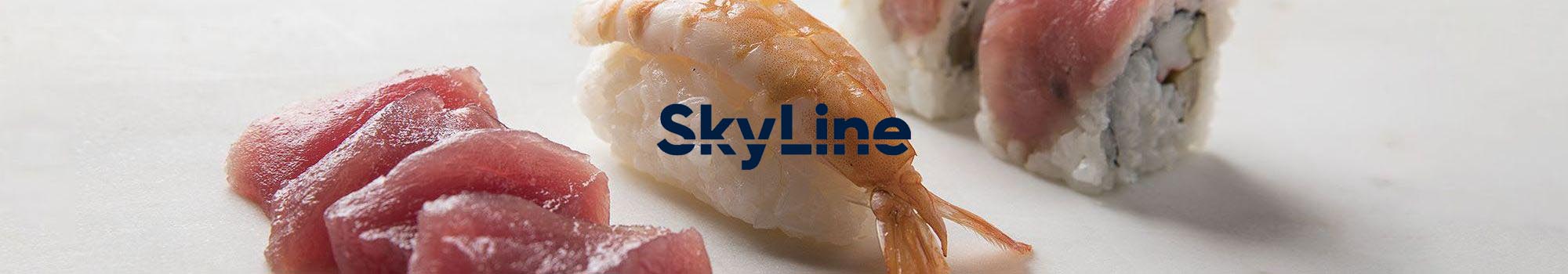 SkyLine Schockkühler & -froster von Electrolux Professional