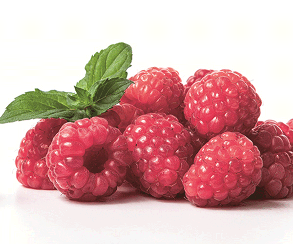 Himbeeren