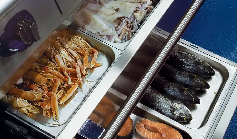 icy-hot-freezer-refrigerator-e-XP-700-900-modular-cooking-electrolux-professional-dim-900x530-1