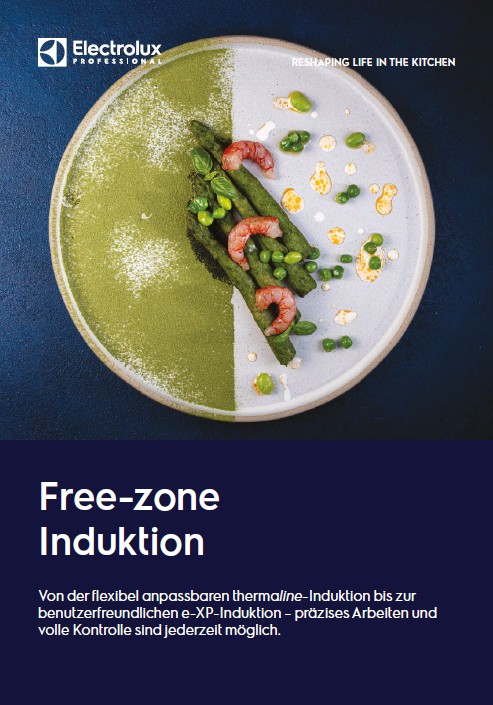 thermaline free-zone Induktion