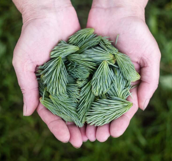 A-sustainable-approach_1 A-sustainable-approach_1