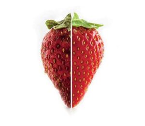 Optimale Lebensmittelkonservierung mit OptiFlow