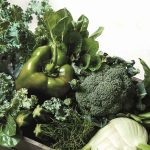 Energiespartipps für Ihren Gastro Kühlschrank