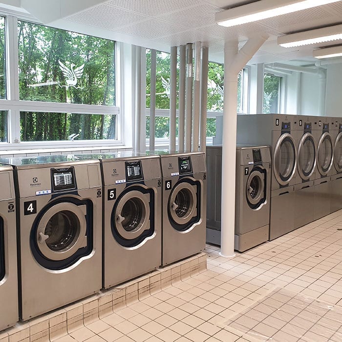 Commercial laundry equipment near large windows.