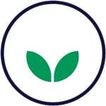 Green-Spirit-copia-4-80 Green-Spirit-copia-4-80