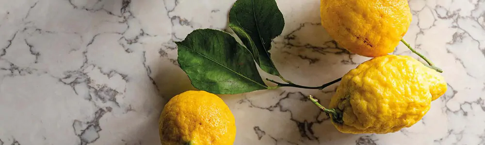 Fresh Ingredients Preserved with the Efficiency of Commercial Tumble Dryers & Ironing Machines Fresh Ingredients Preserved with the Efficiency of Commercial Tumble Dryers & Ironing Machines