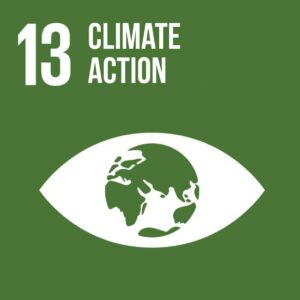 13-climate-action