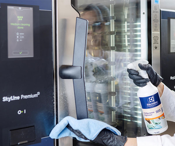 accessories and consumables, detergents for ovens