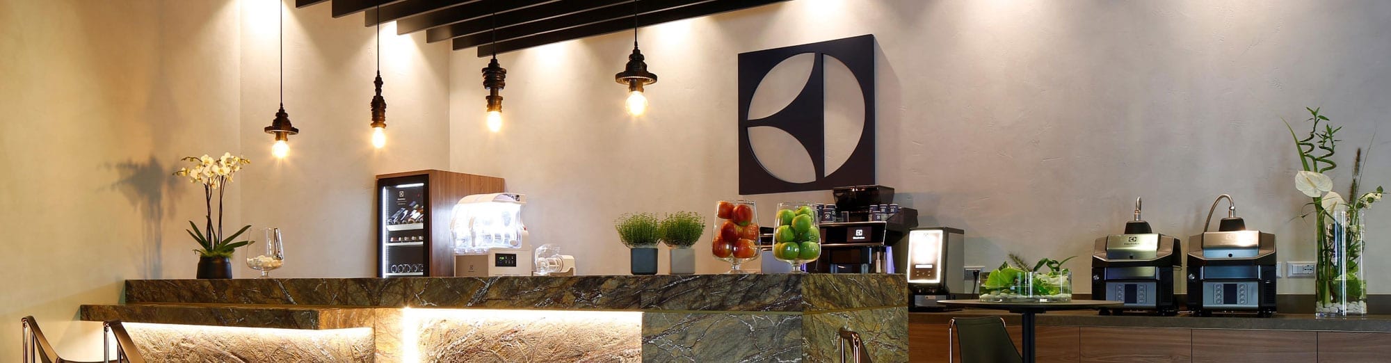 Center of Excellence Die Showrooms, Centers of Excellence, von Electrolux Professional