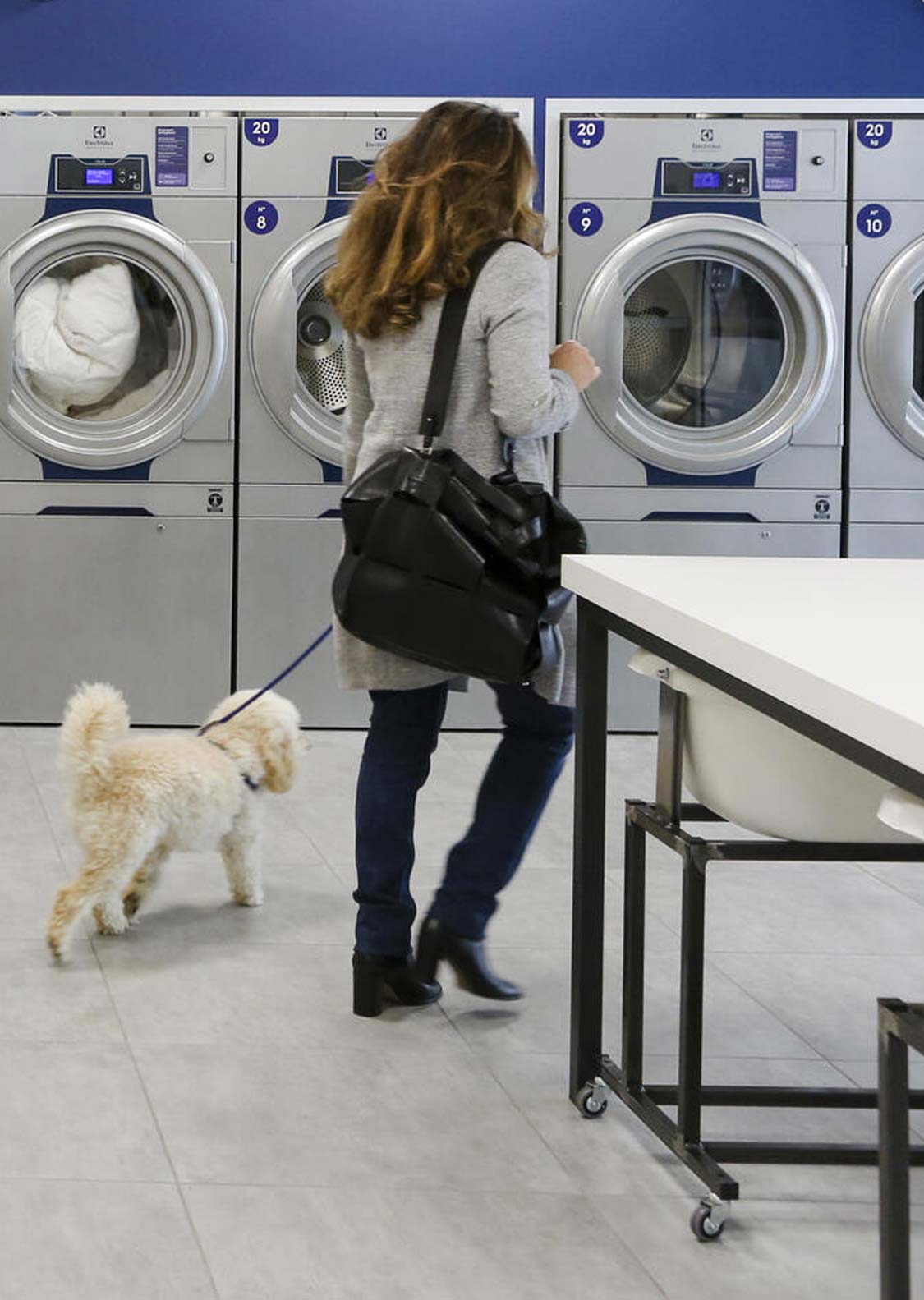 Schnelleres Waschen und Trocknen in Selbstbedienungs-Wäschereien mit myPRO-Lösungen, myPROzip, von Electrolux Professional