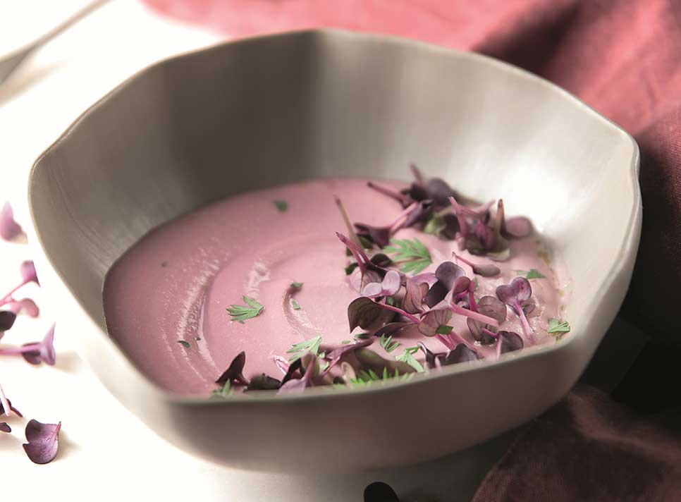 Schockkühler & -froster von Electrolux Professional