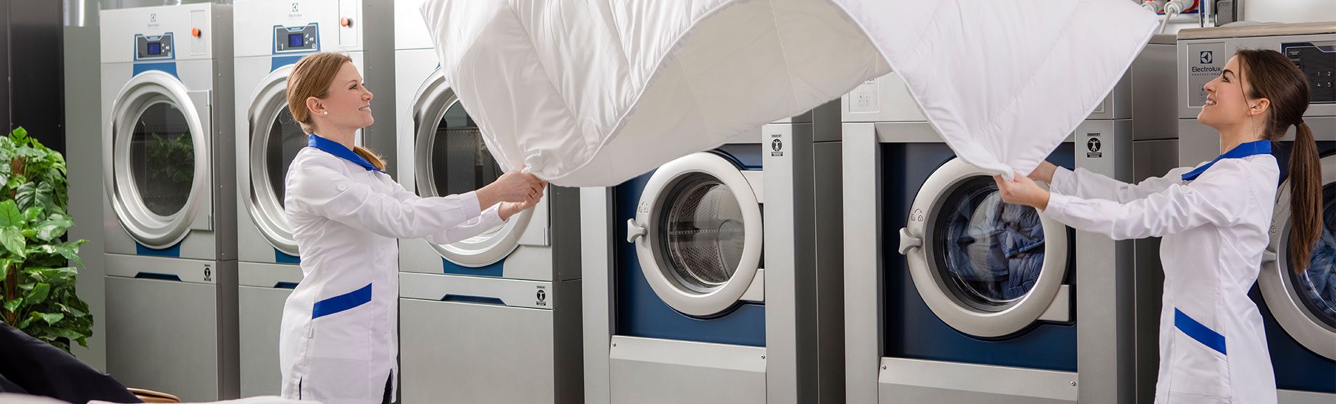 Lösungen für Großwäschereien von Electrolux Professional