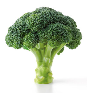 Broccoli