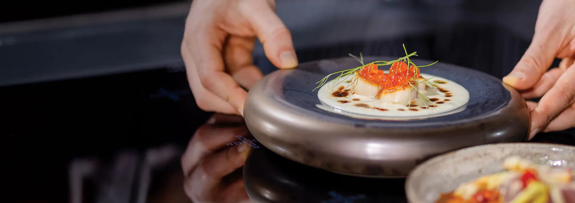 thermaline banner desktop