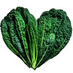 Energiespartipps von Electrolux Professional für Ihren Gastro-Kühlschrank