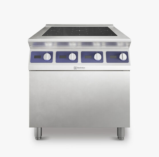 e-XP-induction-630x630-1-555x548 e-XP-induction-630x630-1-555x548