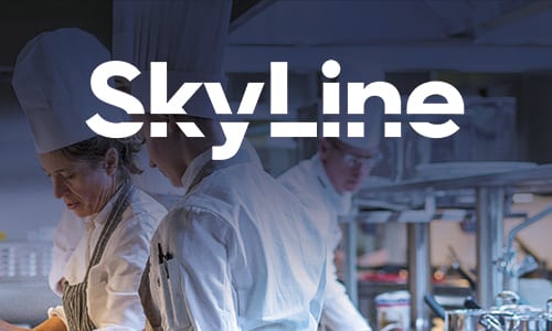 SkyLine – industriovn og blæstkøler