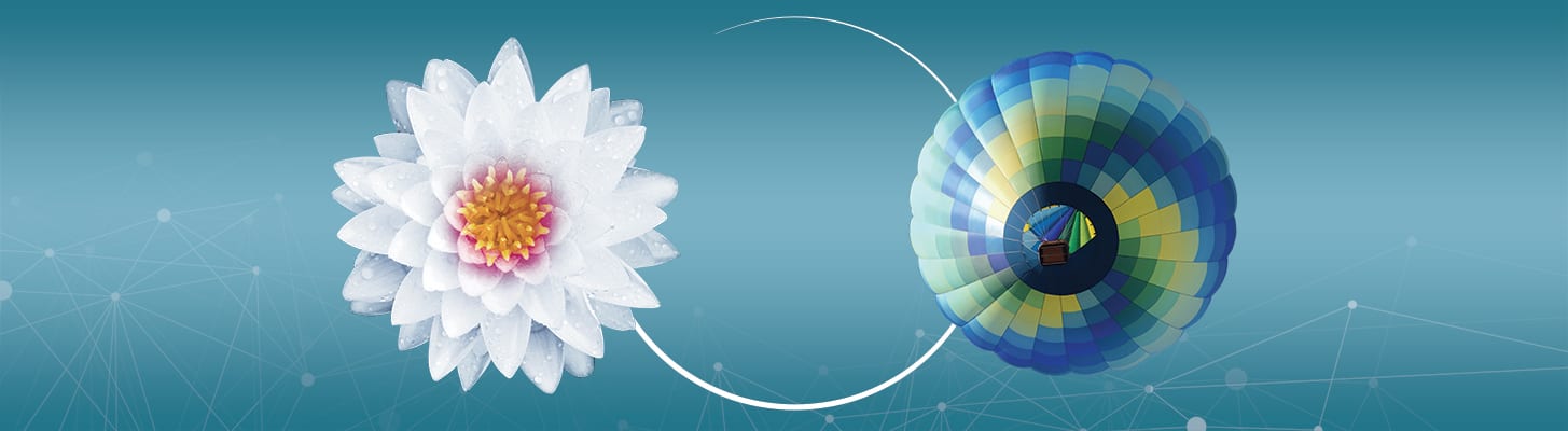 Line 6000 visual washers & dryers