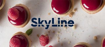 skyline combi oven