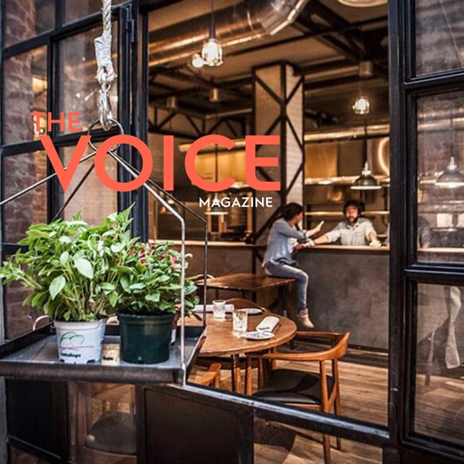 voice