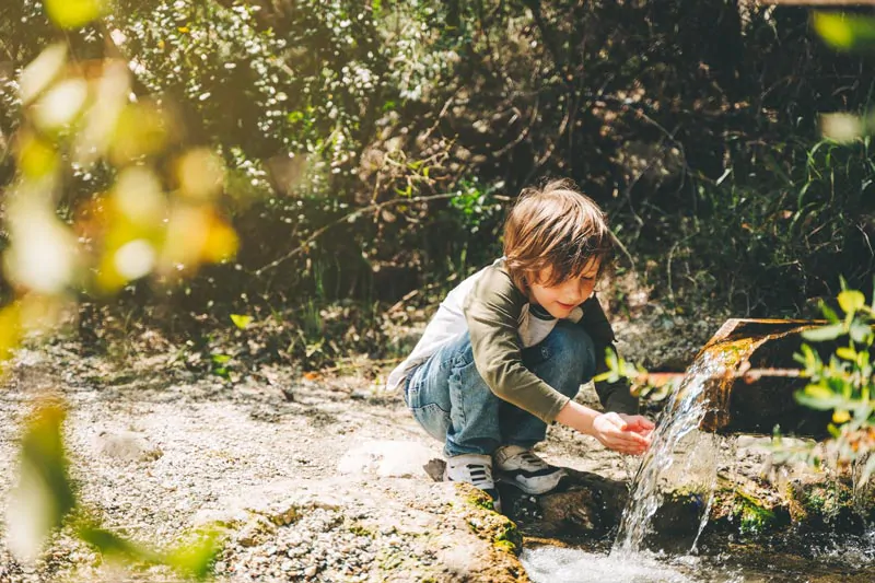 sustainability-news sustainability-news