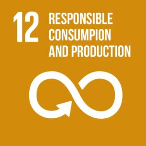 12-Responsible-consumption-and-production