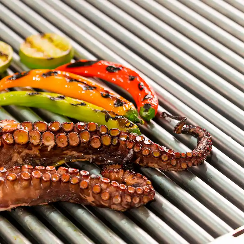 direct-cooking-power-grill-e-XP-700-900-electrolux-professional-dim-800x800-1