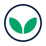 energy saving efficiency icon