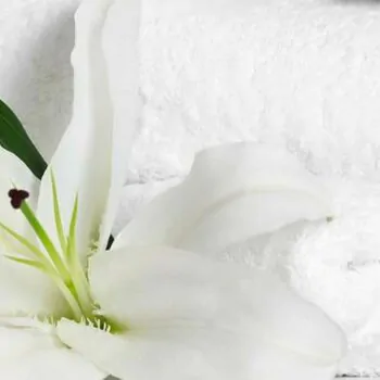 banner_Detergents_mobile