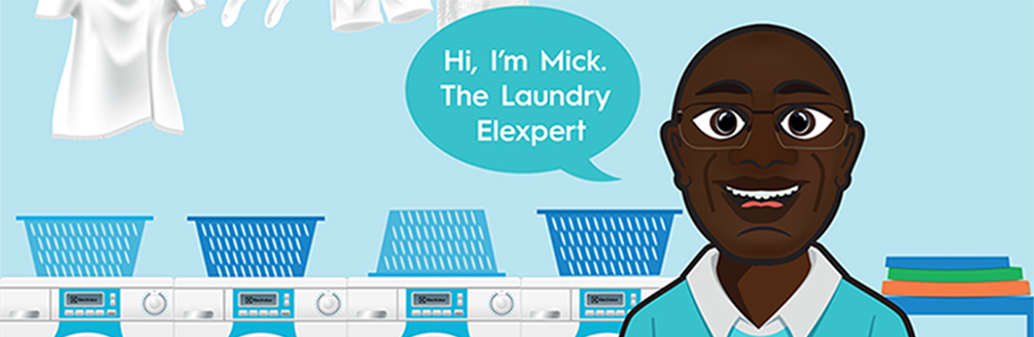 mick - elexpert series