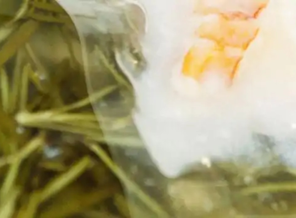 sous-vide-banner-966x712-1