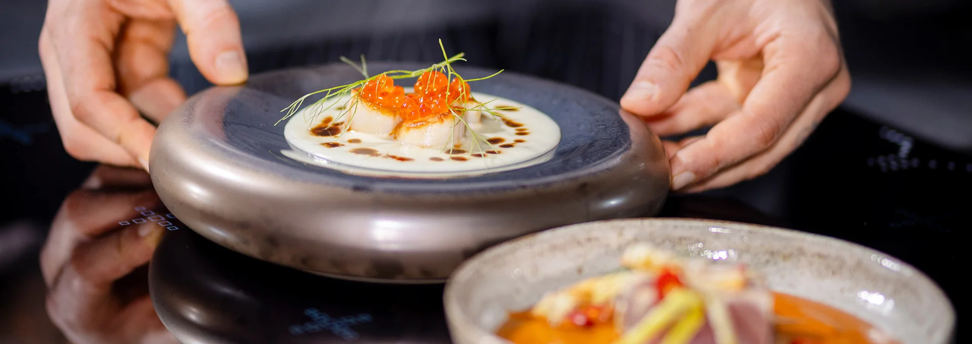 thermaline-premium-cooking-range-chef-free-zone-induction-electrolux-professional-hero-banner-dim-1920x680-1