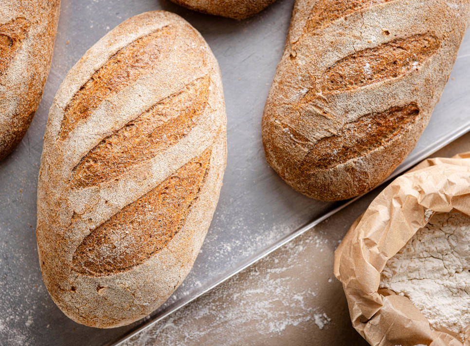 Best commercial ovens - Electrolux Professional