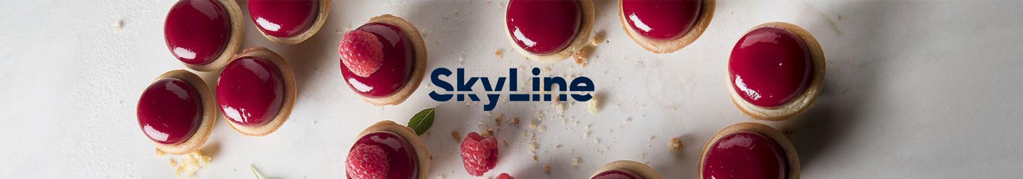 skyline-combi-oven-pastry-banner-2000x350
