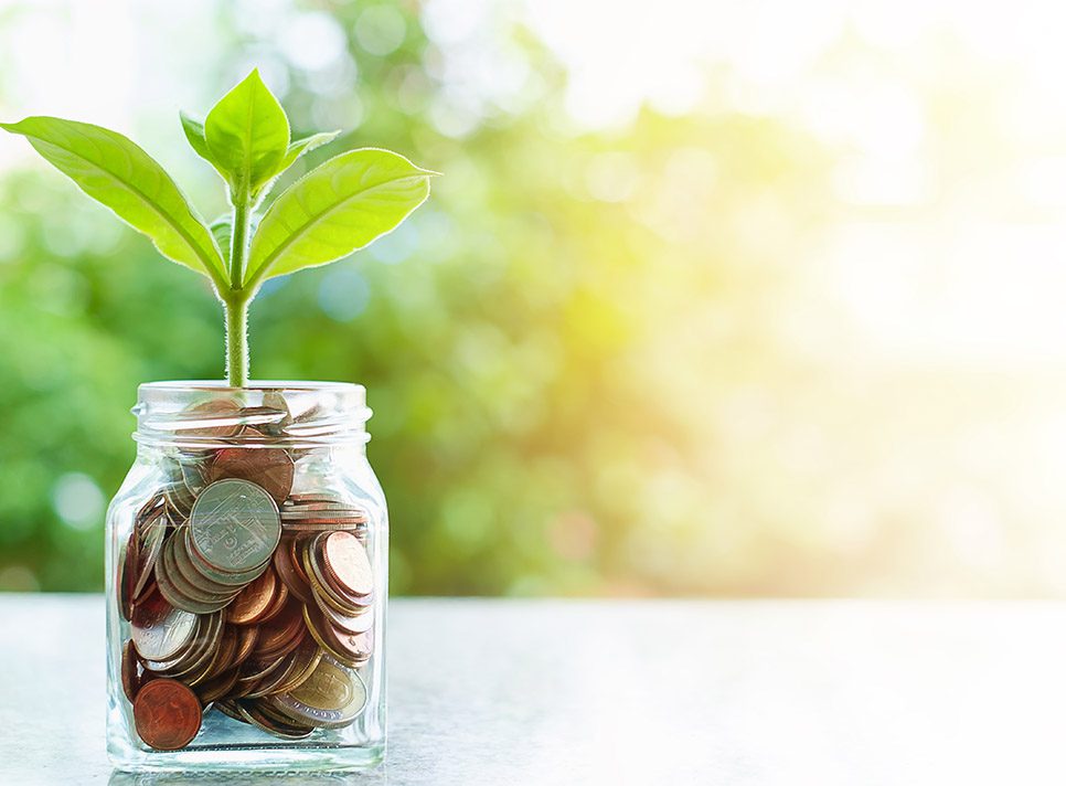 Plant,Growing,From,Coins,In,The,Glass,Jar,On,Blurred