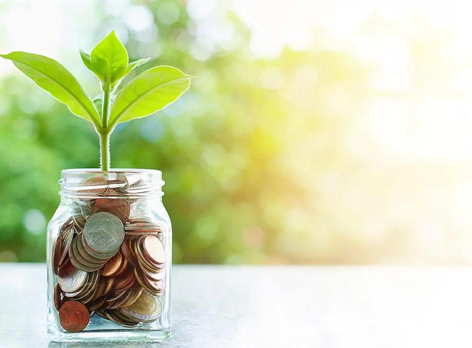 Plant,Growing,From,Coins,In,The,Glass,Jar,On,Blurred