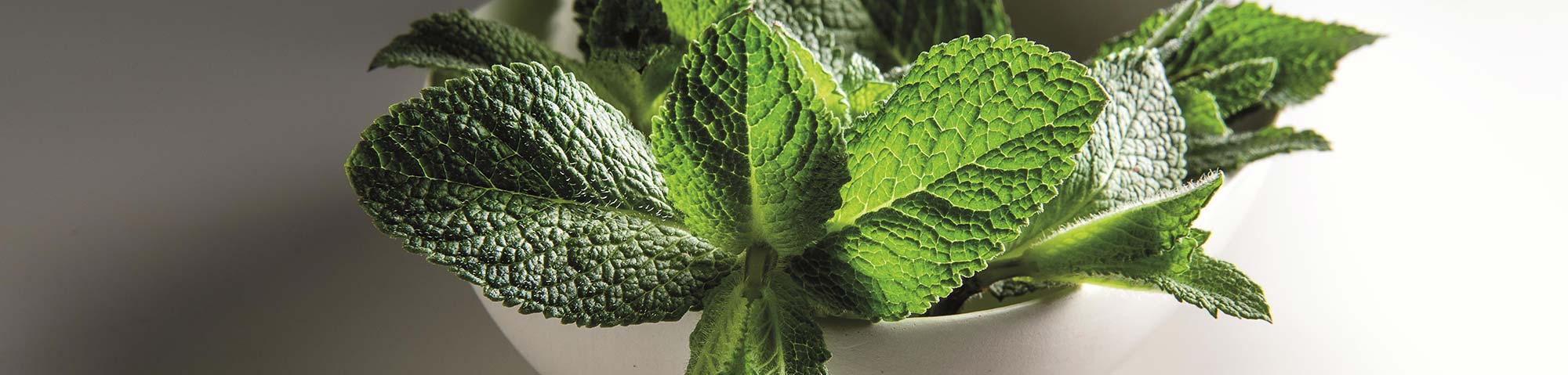 banner-chiller-2000x400 banner-chiller-2000x400