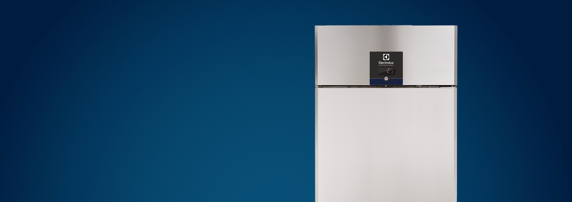 Offerta frigorifero ecostore Electrolux Professional_banner desktop