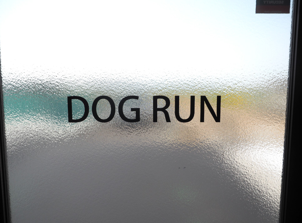 dogrun