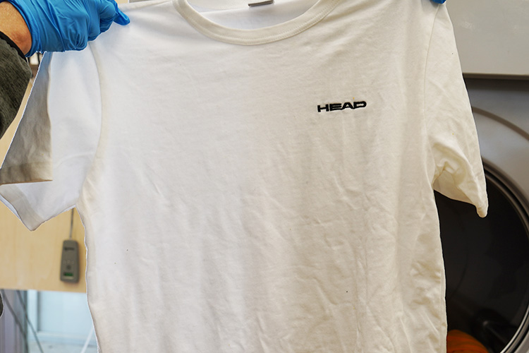 本洗1_Tシャツ1