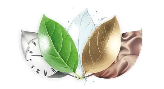 leaves-lagoon-1