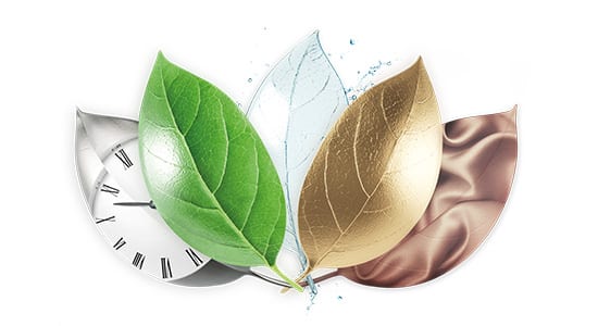 leaves-lagoon leaves-lagoon