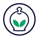 icon-green-web icon-green-web