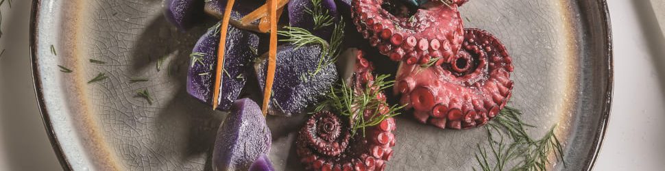 liberopro_induction_970x377 liberopro_induction_970x377