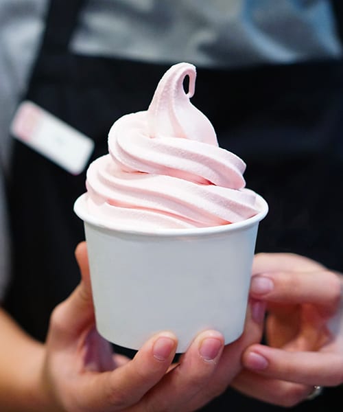 SoftServe