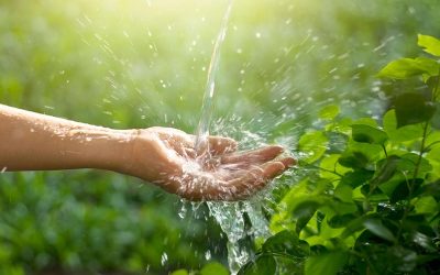 sustainability-news-966x712 sustainability-news-966x712