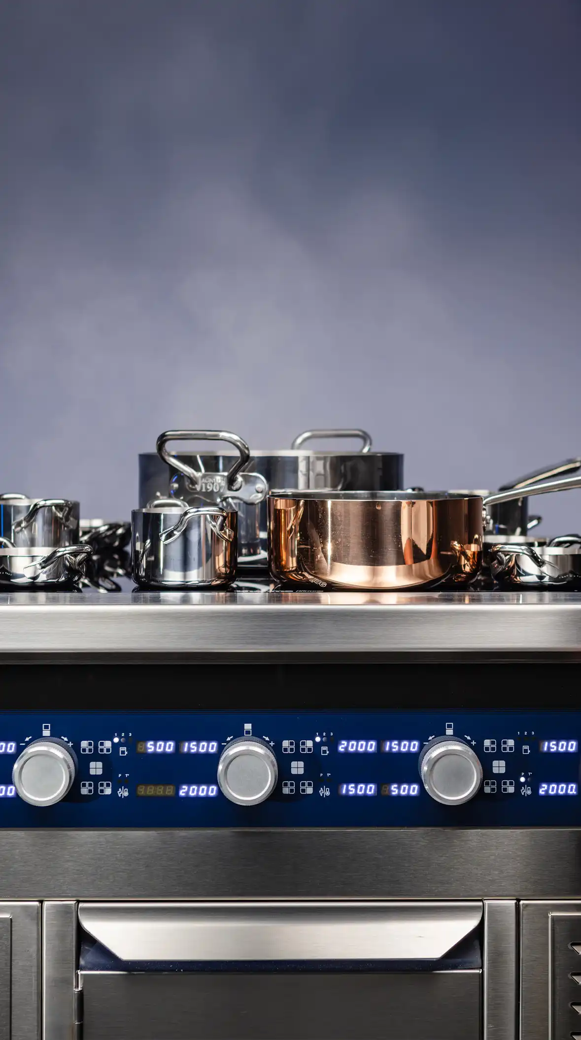 induction-energy-saving-thermaline-premium-cooking-range-electrolux-professional-dim-1920-1200