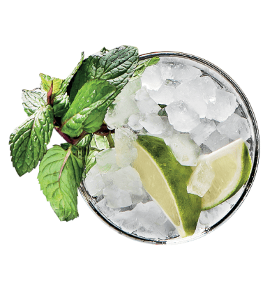 mojito pebble ice makers