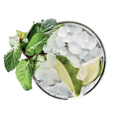 mojito pebble ice makers mojito pebble ice makers