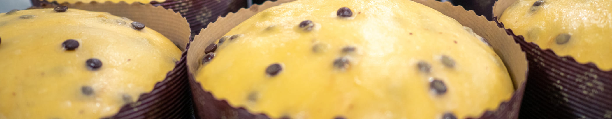 planetary_mixers_kneaders_sheeters_banner planetary_mixers_kneaders_sheeters_banner